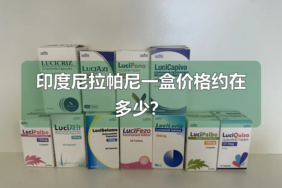 印度尼拉帕尼一盒价格约在多少？